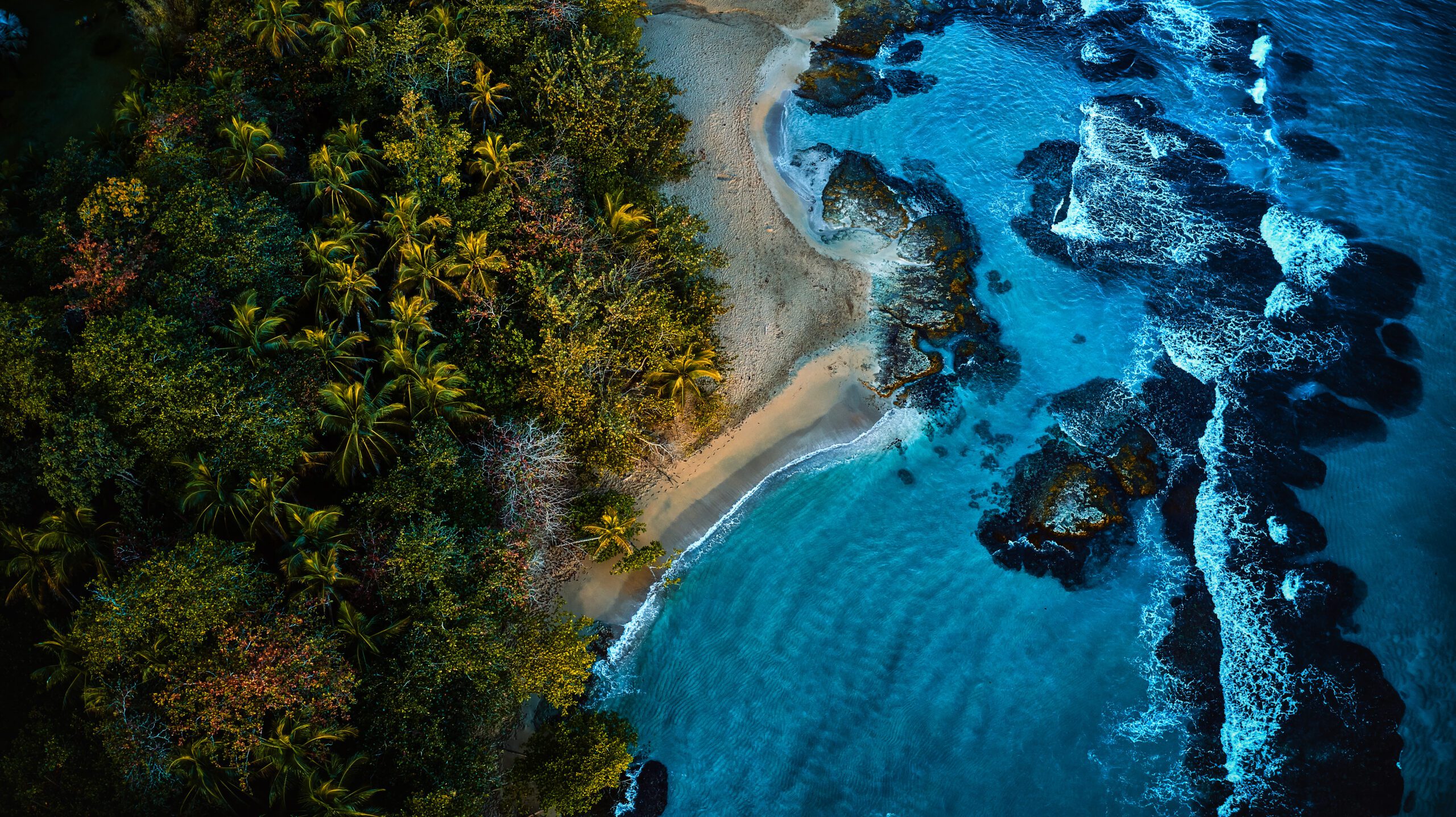Caribbean & Bermuda